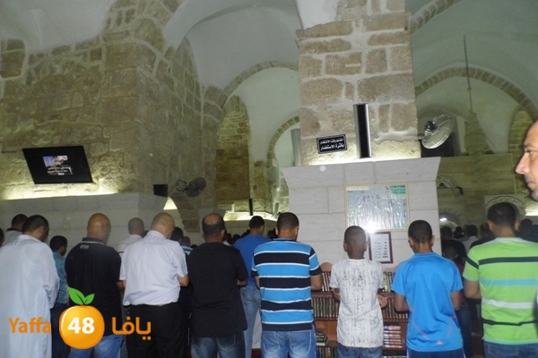 kaber trawe7 718 (10).JPG